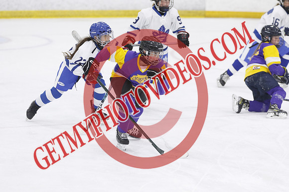 _63A0224_5 05 pm - U13 - Pro Hockey vs Young Queens - DES