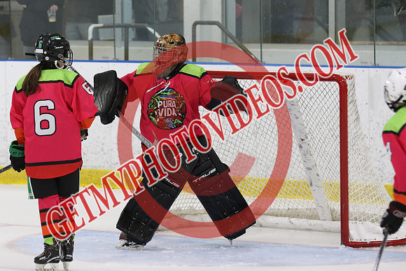 1C2A0147_4 10 pm - U15 - LeverageTek Wolves 2012 Thompson vs NXT Level - MNP