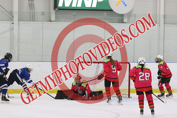 1C2A9435_4 10 pm - U15 - LeverageTek Wolves 2012 Thompson vs NXT Level - MNP