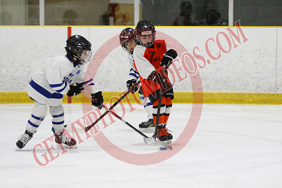 _63A2119_11 45 am - U8LL2 - West Niagara Leafs vs Wainfleet Wild - YELLOW B