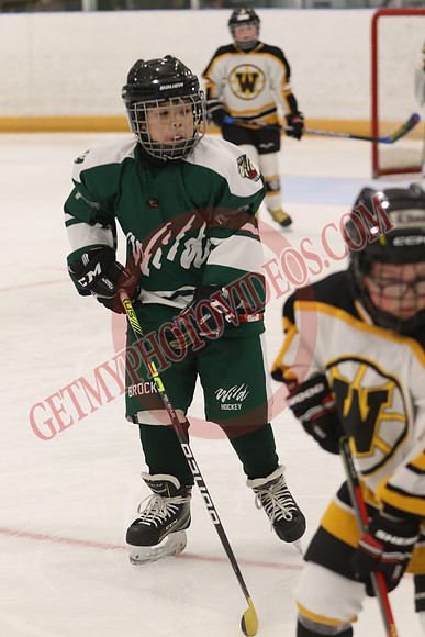 1C2A4255