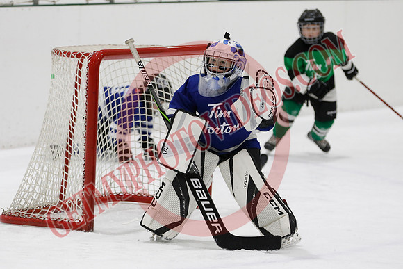 _63A7610_11 00 am - U7D2 - Port Colborne Blue vs Cayuga Stars Green - GREEN A