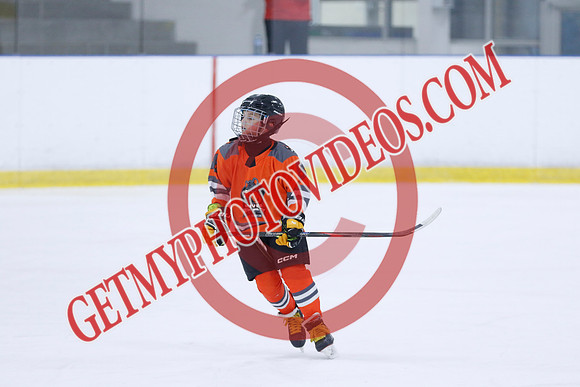 _63A9750_11 05 am - 2014 - Shamrock Selects vs River Rat Hockey - Sel