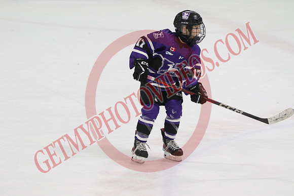 20240531-27884_7 05 pm - U12A - London Jr Mustangs White vs Welland Tigers - CC