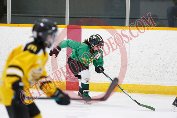 _63A2771_9 00 am - U11 - Millbrooks Stars vs Quite West World Elite Hockey Academy - Pad B