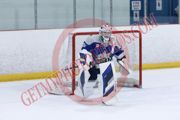 _63A0177_10 15 am - U12A - Collingwood Jr Blues vs Sudbury Wolves - NewRoads