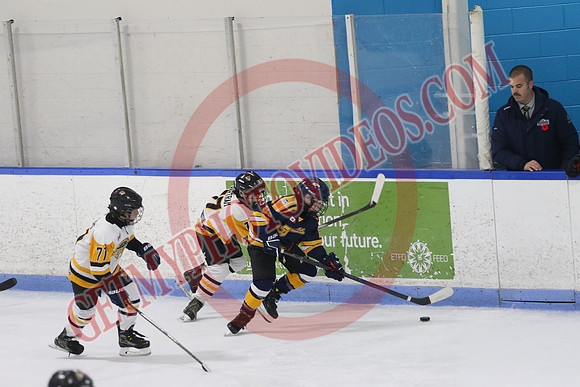 7Z7A4312_1 45 pm – U11A – Final – Winner U11-8 vs U11-7 – CC