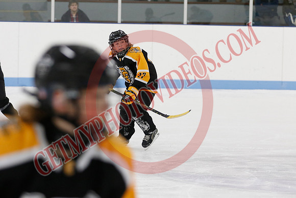 _63A5393