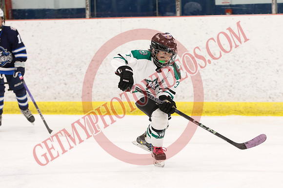 _63A3695_4 30 pm - U11B - Upper York Admirals vs Wasaga Stars - Atlas