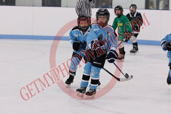 _63A3955_8 00 am - U11HL - Millbrook Stars Gold vs Orono Leafs Team 3