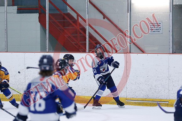 _63A8250_10 15 am - U12A - Collingwood Jr Blues vs Sudbury Wolves - NewRoads