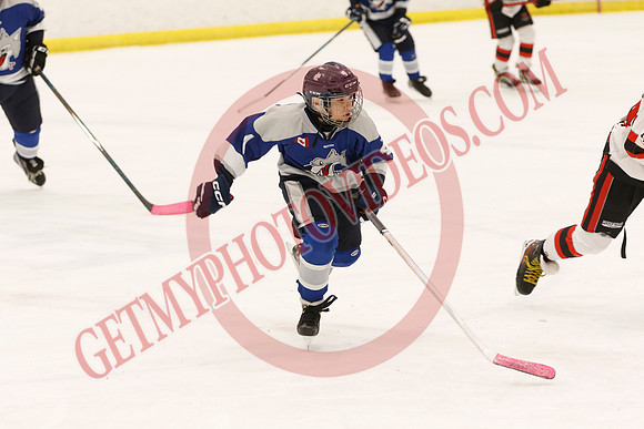 _63A0320_1 00 pm - U12 A - Sudbury Wolves vs Newmarket Renegades - Atlas