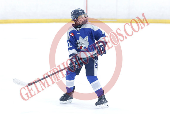 _63A8827_10 15 am - U12A - Collingwood Jr Blues vs Sudbury Wolves - NewRoads