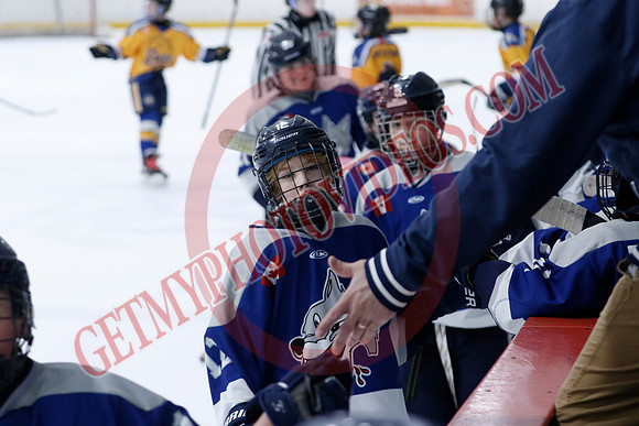 _63A0310_10 15 am - U12A - Collingwood Jr Blues vs Sudbury Wolves - NewRoads