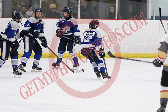 _63A7884_4 40 pm - U12A - Sudbury Wolves vs West Niagara Flying Aces - Atlas