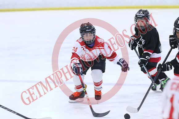 7Z7A0695_1 00 pm - W GM2 vs W GM1