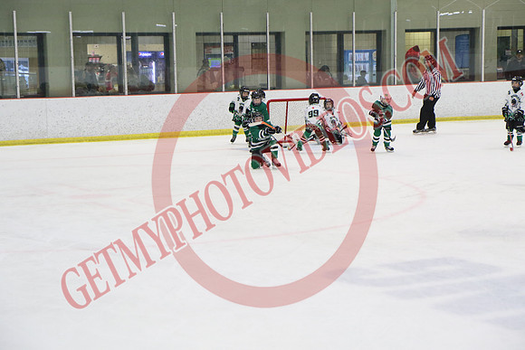 7Z7A2372