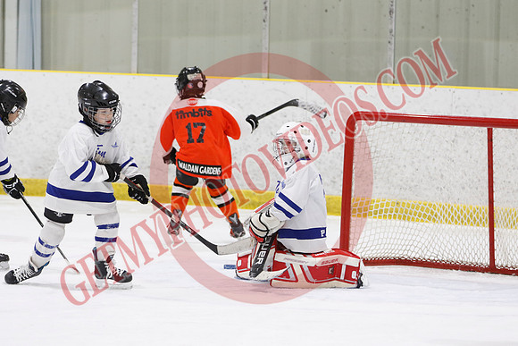 _63A1440_11 45 am - U8LL2 - West Niagara Leafs vs Wainfleet Wild - YELLOW B