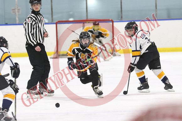 7Z7A5774_2 00 pm - U13LL - Campbellford vs Bradford - CENT