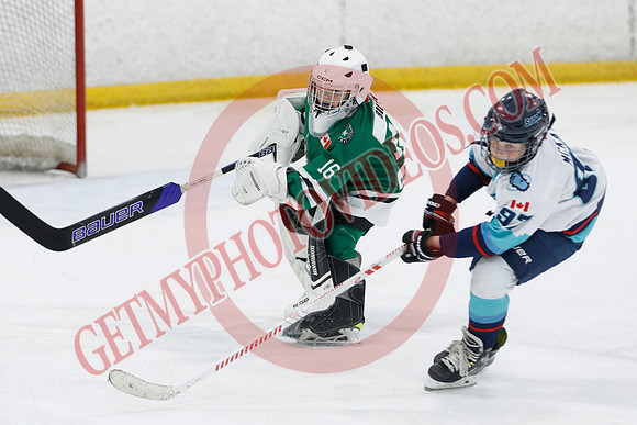 _63A9796_1 45 pm - U11B - Wasaga Stars vs South Simcoe Storm - NewRoads