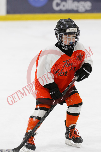 _63A2182_11 45 am - U8LL2 - West Niagara Leafs vs Wainfleet Wild - YELLOW B