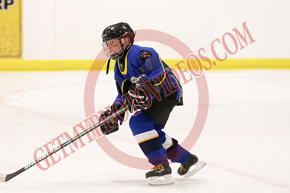 _63A7492_8 15 am – LL2 – Lambeth vs Delhi - Eastlink