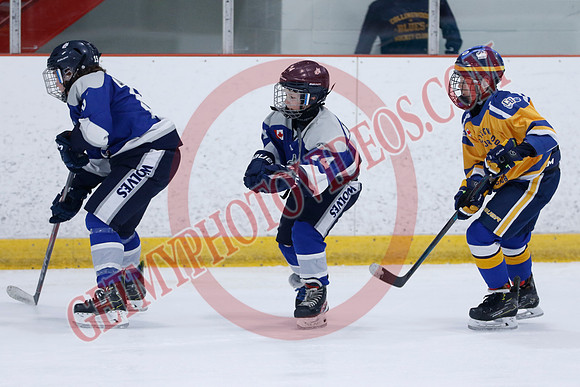 _63A8610_10 15 am - U12A - Collingwood Jr Blues vs Sudbury Wolves - NewRoads