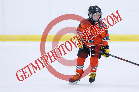_63A0443_11 05 am - 2014 - Shamrock Selects vs River Rat Hockey - Sel