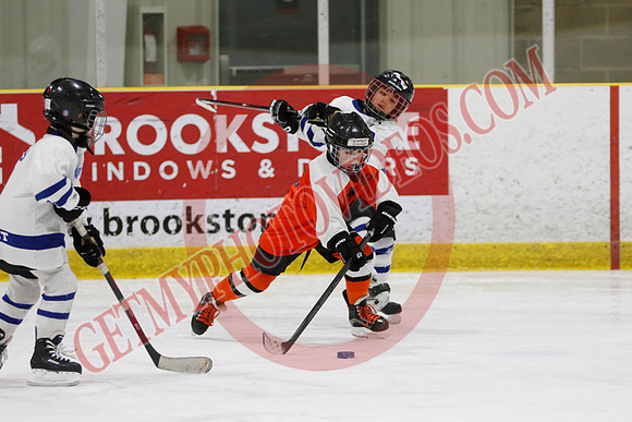 _63A2110_11 45 am - U8LL2 - West Niagara Leafs vs Wainfleet Wild - YELLOW B