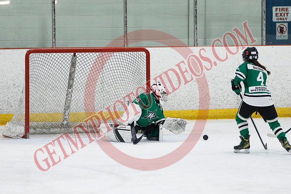 _63A9461_1 45 pm - U11B - Wasaga Stars vs South Simcoe Storm - NewRoads