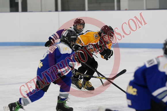 _63A5987_9 00 am - Campbellford Colts Yellow vs Orono Leafs Team 1