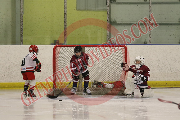 7Z7A3381