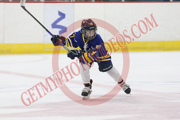 1C2A1369