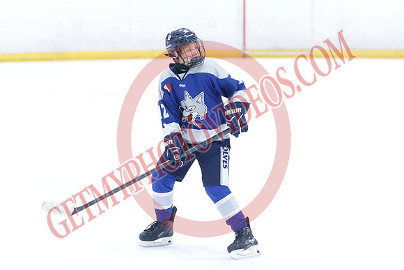 _63A8828_10 15 am - U12A - Collingwood Jr Blues vs Sudbury Wolves - NewRoads