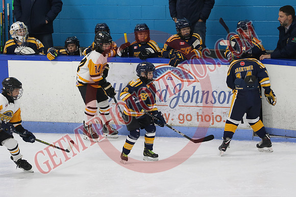 7Z7A4300_1 45 pm – U11A – Final – Winner U11-8 vs U11-7 – CC