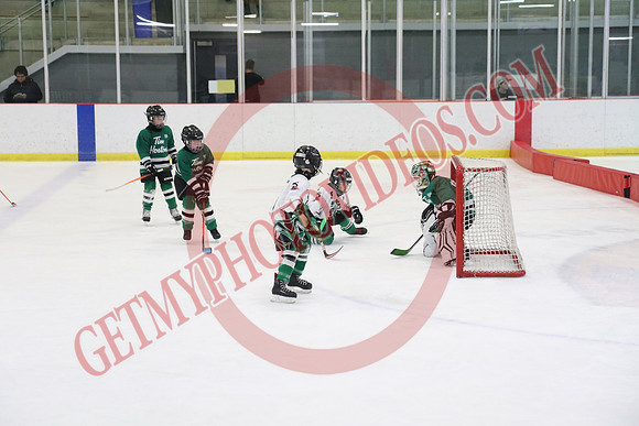 7Z7A2401