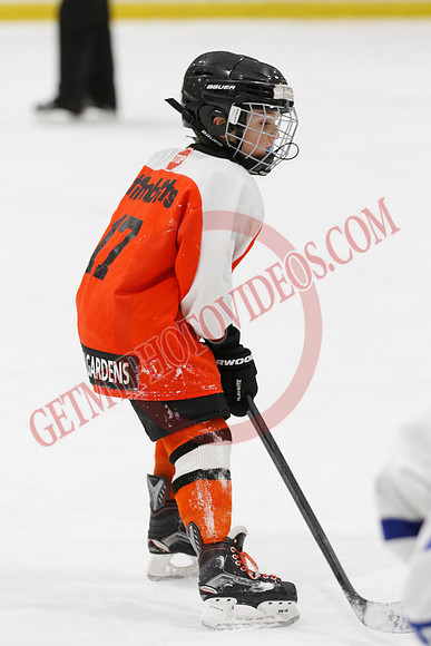 _63A2187_11 45 am - U8LL2 - West Niagara Leafs vs Wainfleet Wild - YELLOW B