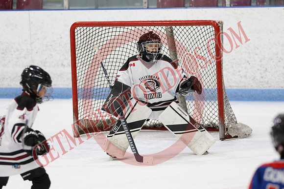 _63A5525