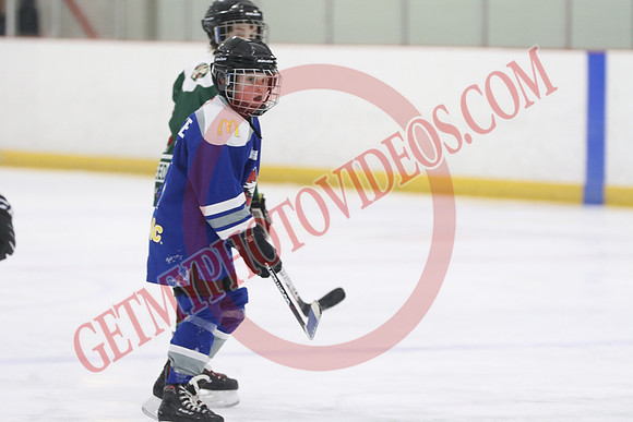 7Z7A0786