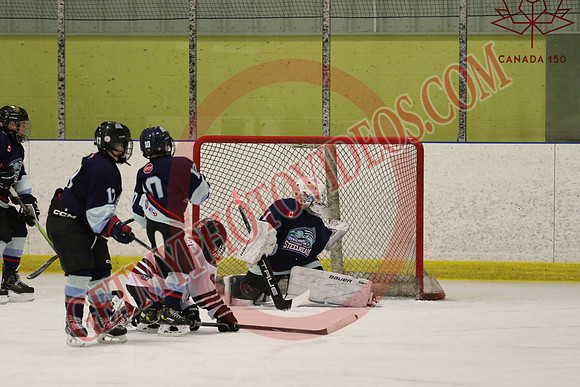 7Z7A2135_7 45 pm – U13 PB – Saugeen Valley Steelheads 2 vs Tillsonburg Tornadoes 2 – Kinsmen