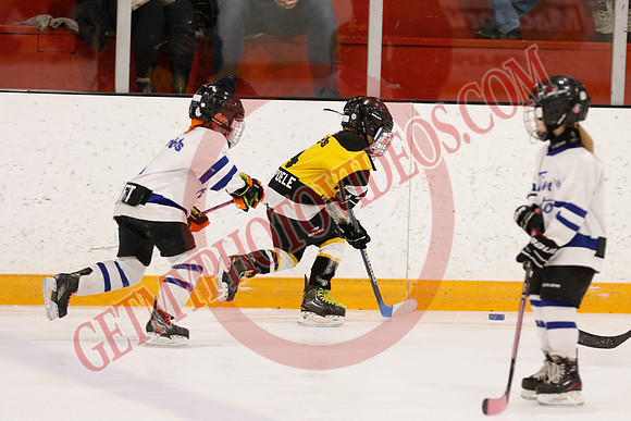 _63A3254