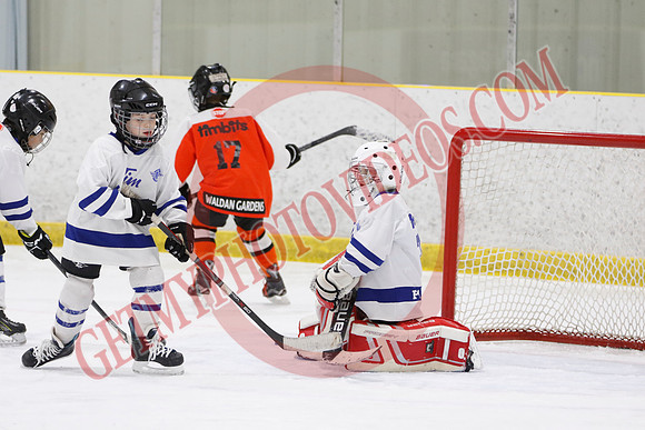 _63A1441_11 45 am - U8LL2 - West Niagara Leafs vs Wainfleet Wild - YELLOW B