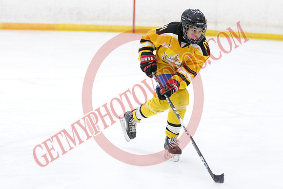 _63A4090_9 00 am - U11 - Millbrooks Stars vs Quite West World Elite Hockey Academy - Pad B