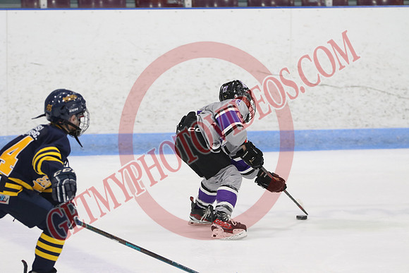 20240601-51606_1 25 pm – U12 A – Erie North Shore Storm vs London Jr Mustangs White – Memorial