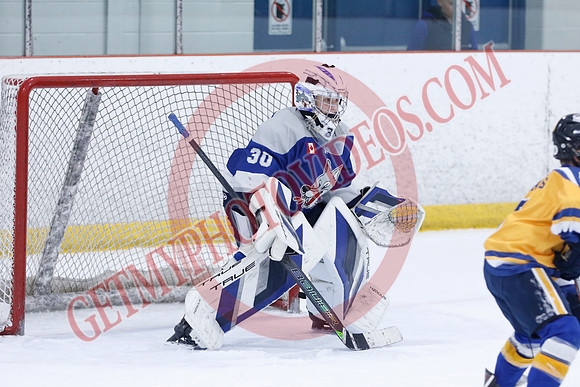 _63A0095_10 15 am - U12A - Collingwood Jr Blues vs Sudbury Wolves - NewRoads