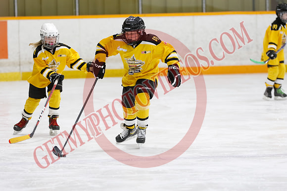 _63A2352_9 00 am - U11 - Millbrooks Stars vs Quite West World Elite Hockey Academy - Pad B