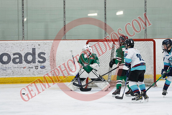 _63A8976_1 45 pm - U11B - Wasaga Stars vs South Simcoe Storm - NewRoads