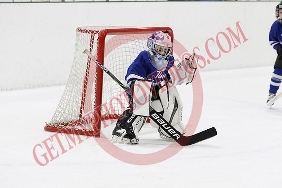 _63A7723_11 00 am - U7D2 - Port Colborne Blue vs Cayuga Stars Green - GREEN A