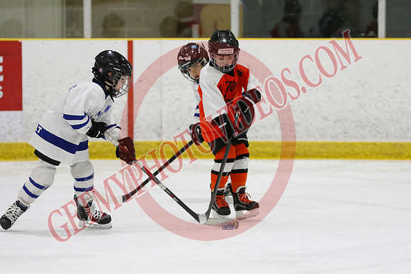 _63A2118_11 45 am - U8LL2 - West Niagara Leafs vs Wainfleet Wild - YELLOW B
