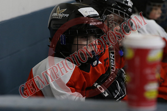 7Z7A4672_11 30 am - U7 - Quinte West Golden Hawks vs Newcastle Teal 3 - Duncan B